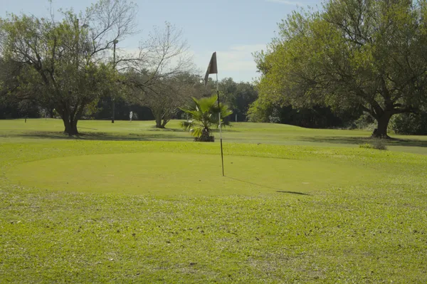 Green view of Hole 15