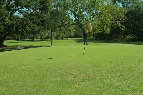 Green view of Hole 3