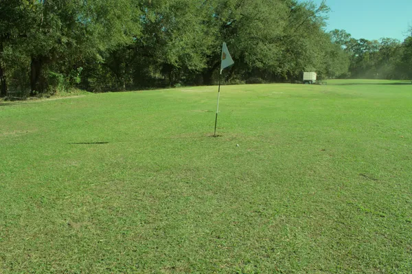 Green view of Hole 4