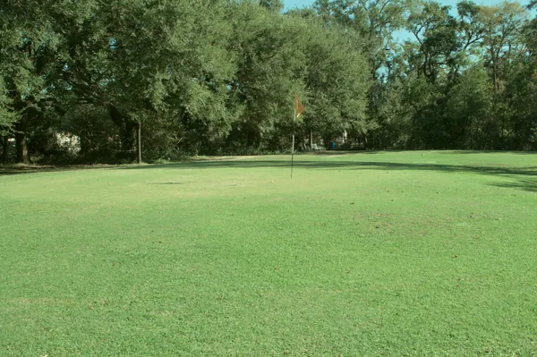 Green view of Hole 5